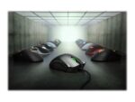 Žaidimų pelė Razer Essential Ergonomic Gaming Mouse, Black