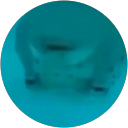 Grigas Andrijanovas profile picture